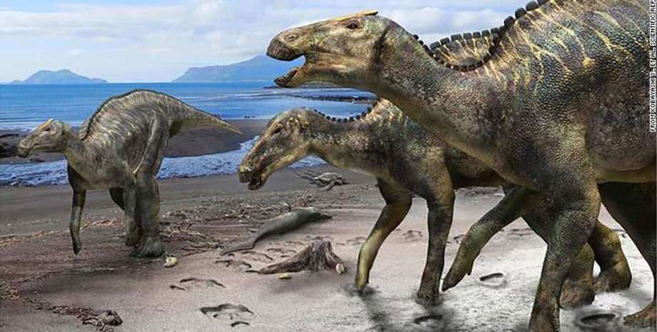 Иллюстрация: Scientific Reports