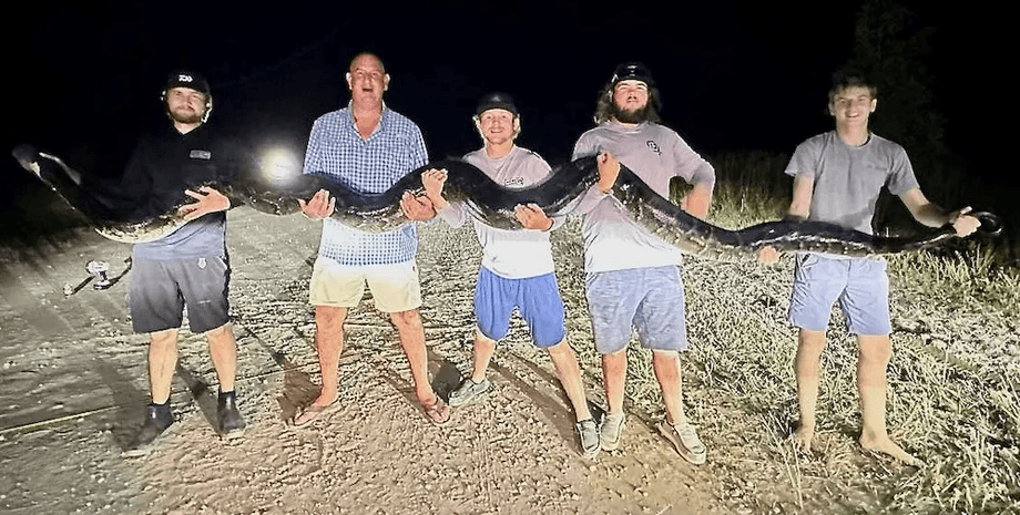 Охотники на змей, 90-килограммовый питон, огромный питон, поймали огромную змею, боролись 45 минут, поймали монстра, охотники