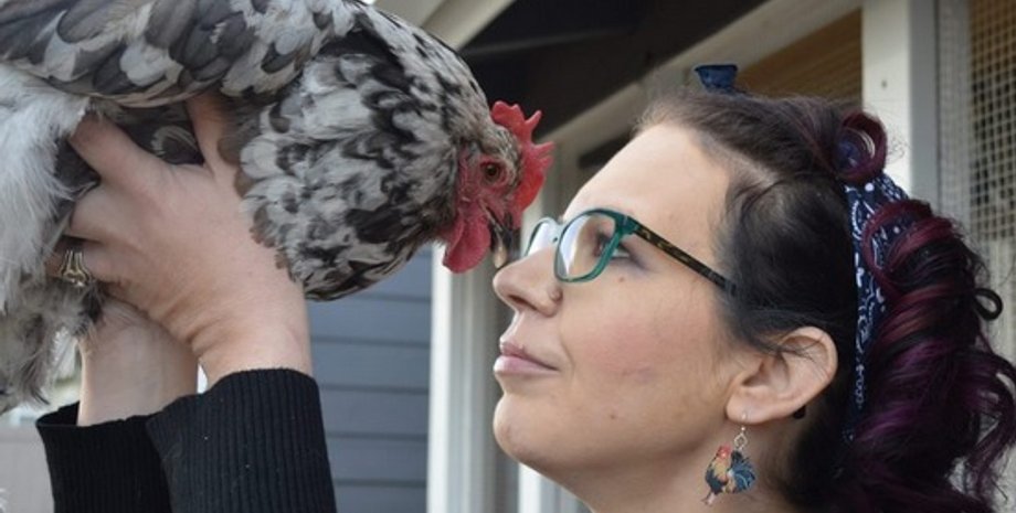 США, операция, курица,  порок сердца, ветеринар