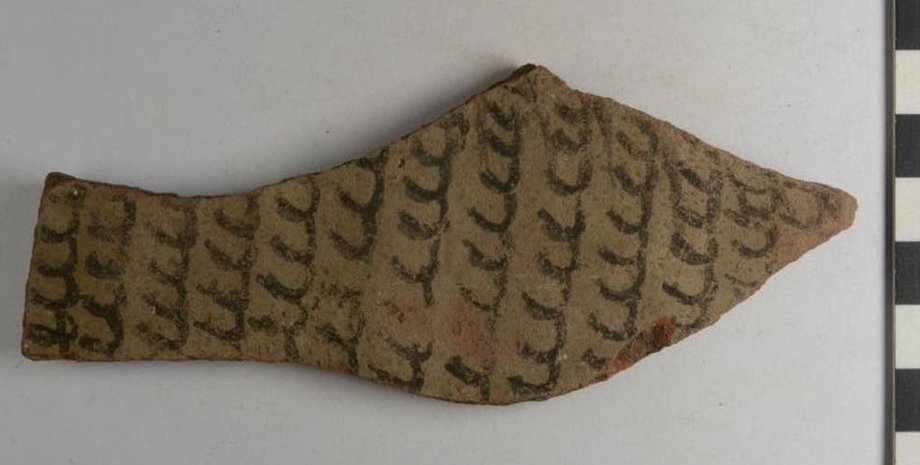 Остатки керамической посуды