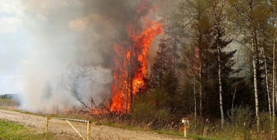 Пожар в Эстонии
