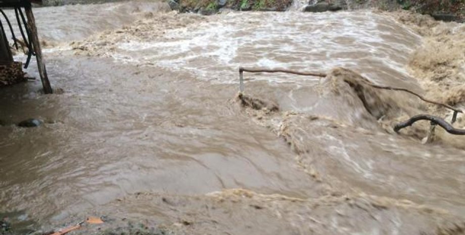 Фото: Репортер