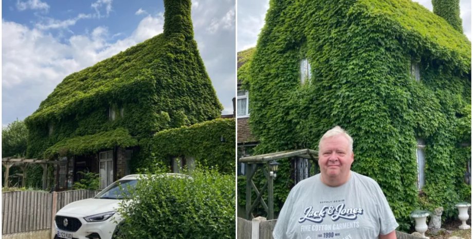 Дом полностью заплела лиана, владельцы дома не обрезали куст в течение 40 лет, скандал, фото, Великобритания