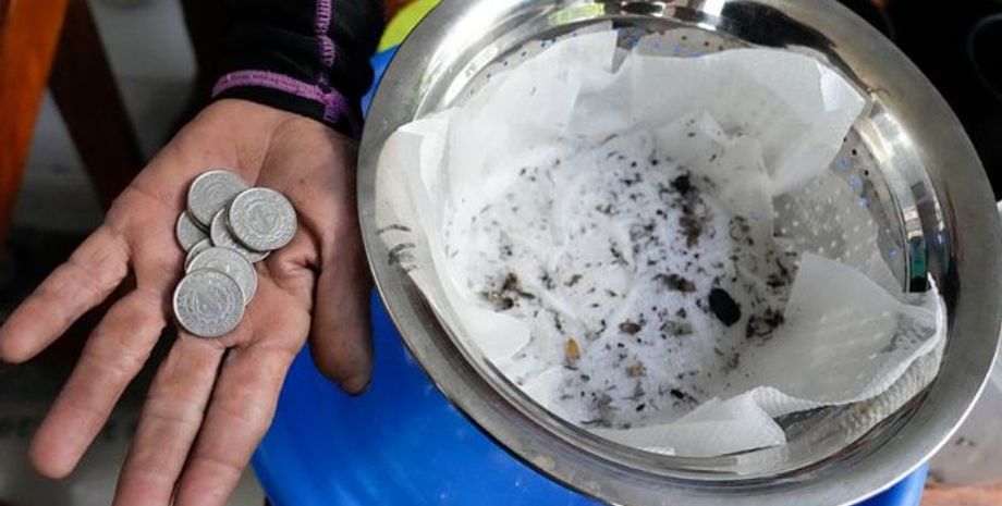 На Филиппинах платят деньги за пойманных живых и мертвых комаров, интересные акции, странные программы от власти