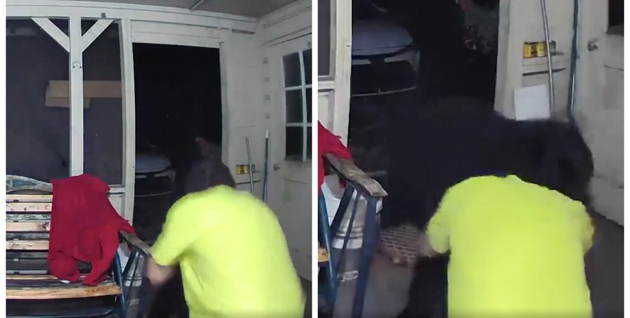 З голими руками: ведмідь напав на собаку, та хазяїн кинувся на порятунок пса