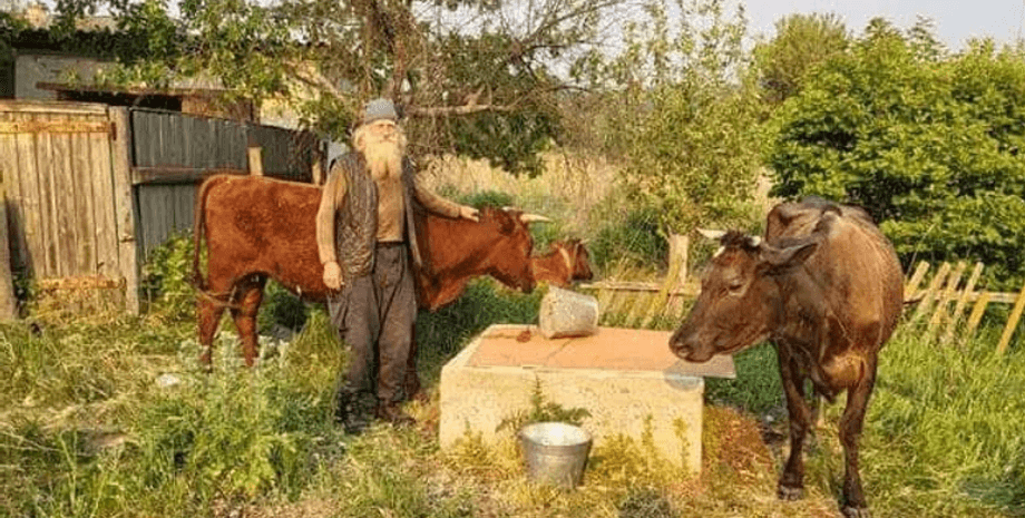 новини харкова, новини полтавщини, новини донеччини, торське, евакуація, корови, пенсіонер