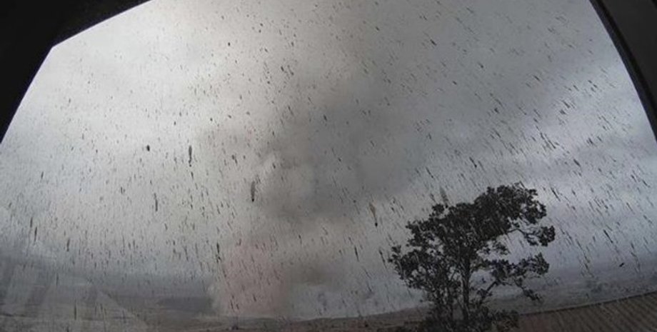 Фото: скриншот