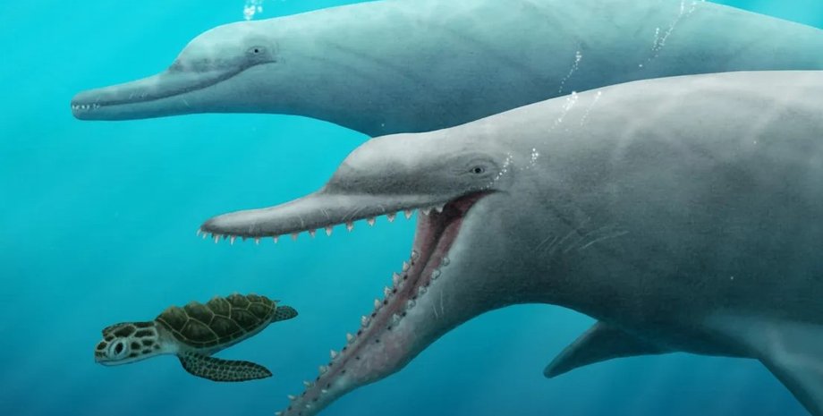 ксенорф, китоподібне, стародавнє китоподібне