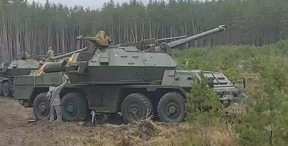 чешские сау в украине