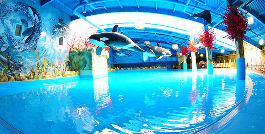 Столичный аквапарк / Фото из открытых источников