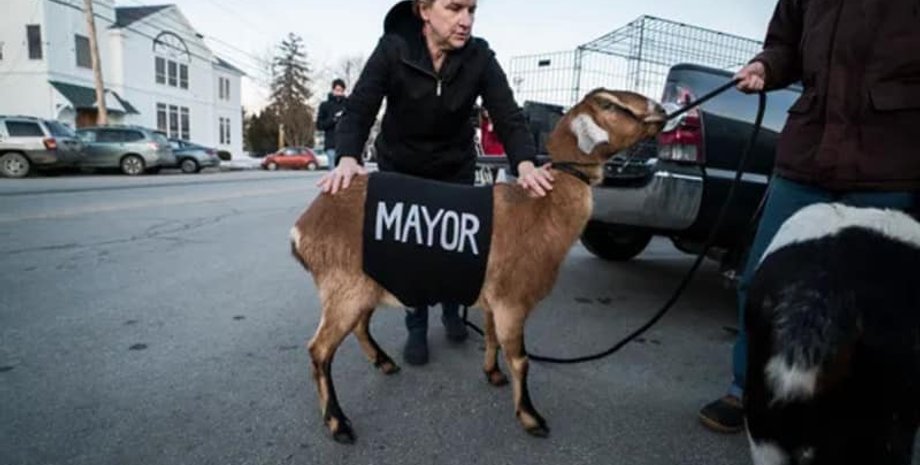 Фото: Screenshot/Burlington Free Press