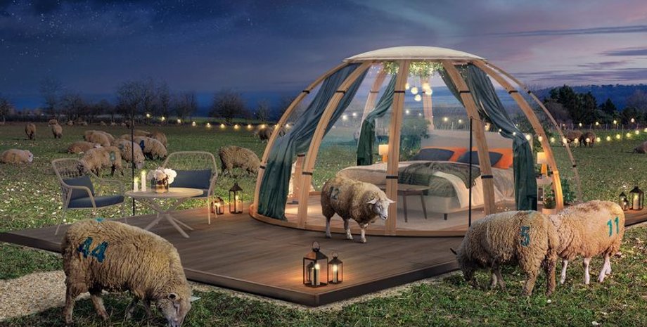 считать овец перед сном