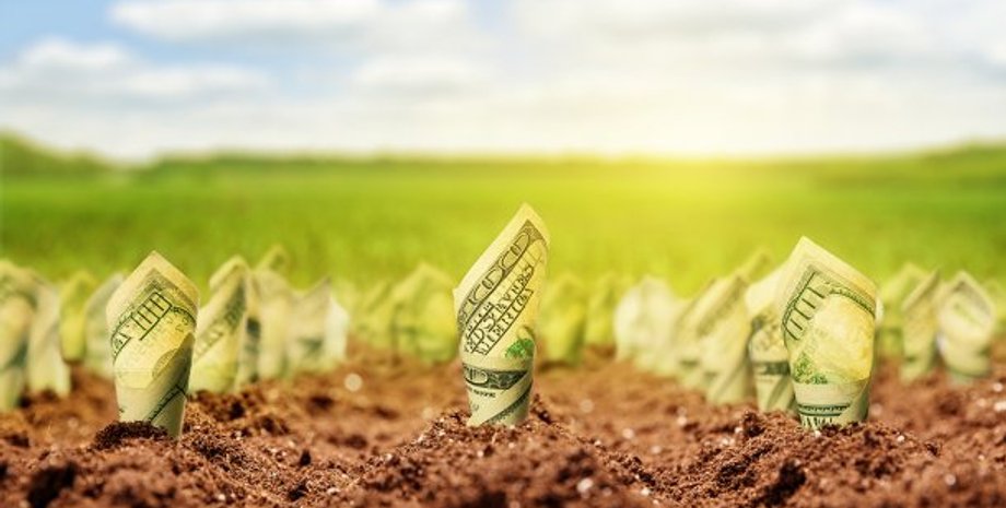 Фото: Телеканал 24