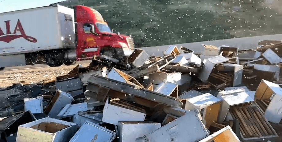 Авария, ДТП, пчелы, улей, грузовик, трасса, шоссе, дорога, около 1 миллиона пчел,