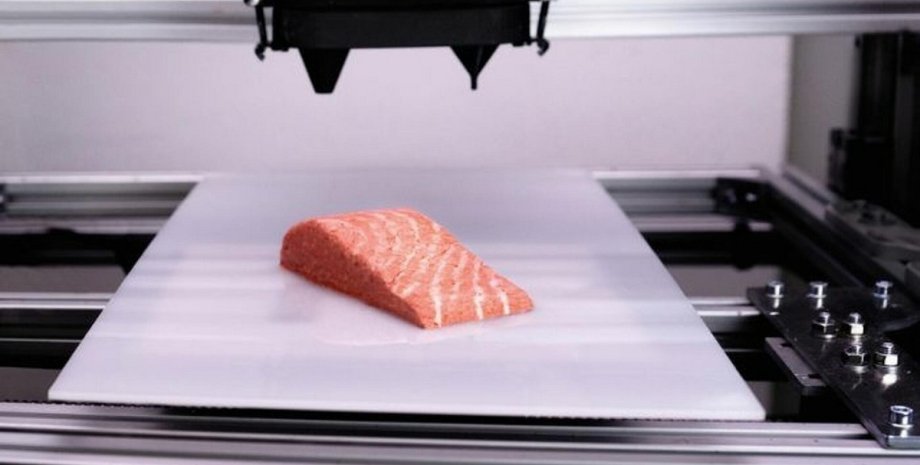 3D-печать еды 3D-печать, 3D-принтер, лосось, еда, пища, фото