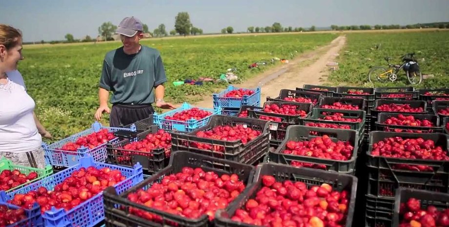 Фото: vitalarticles.blogspot.com