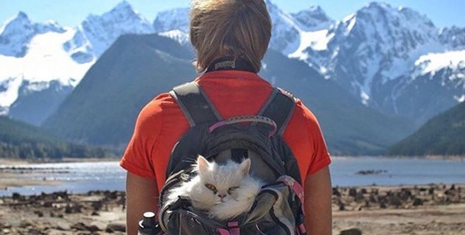 Фото из соцсетей