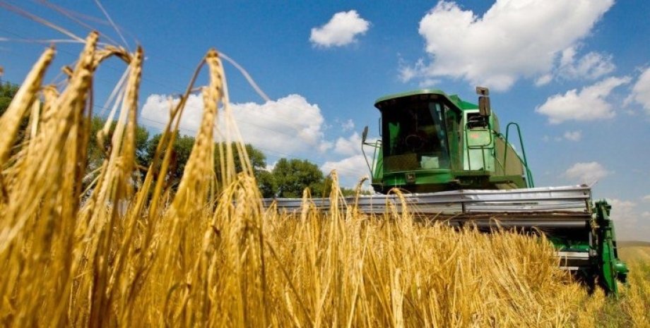 зерновой кризис, цены на зерно, рост цен на зерно, зерновой коридор, пшеница, сбор пшеницы, урожай пшеницы
