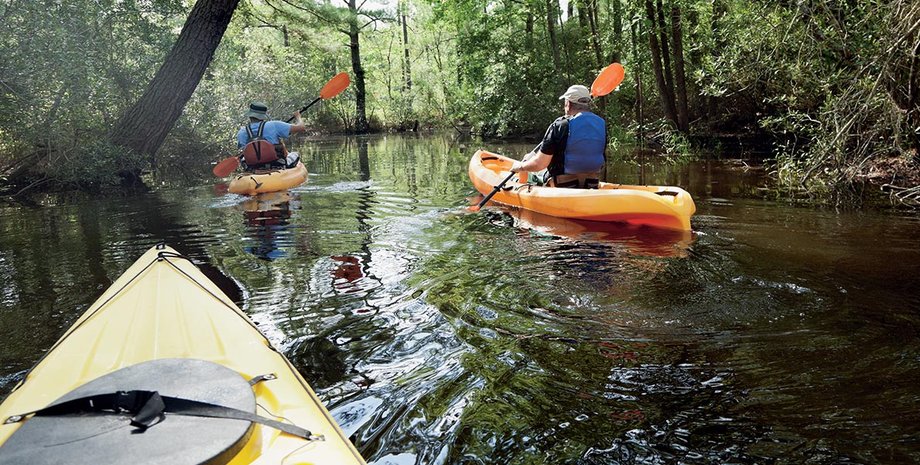 Фото: Getty Images