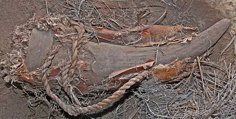 древні люди, дослідження, розкопки, археологія, знахідка