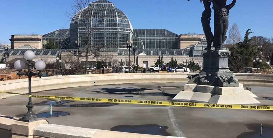 Фото: twitter.com/SerenaMarsh