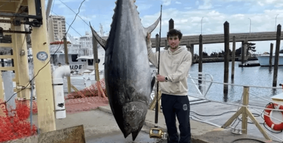 Чоловік стоїть біля причалу поруч із величезним атлантичним блакитним тунцем, який побив рекорд штату