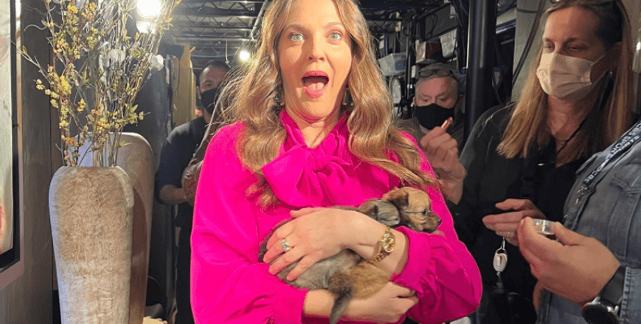 Дрю Берримор 2022 фото