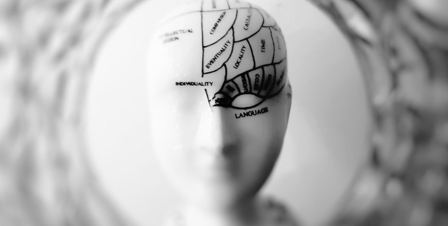 карта мозку, карта голови, голова