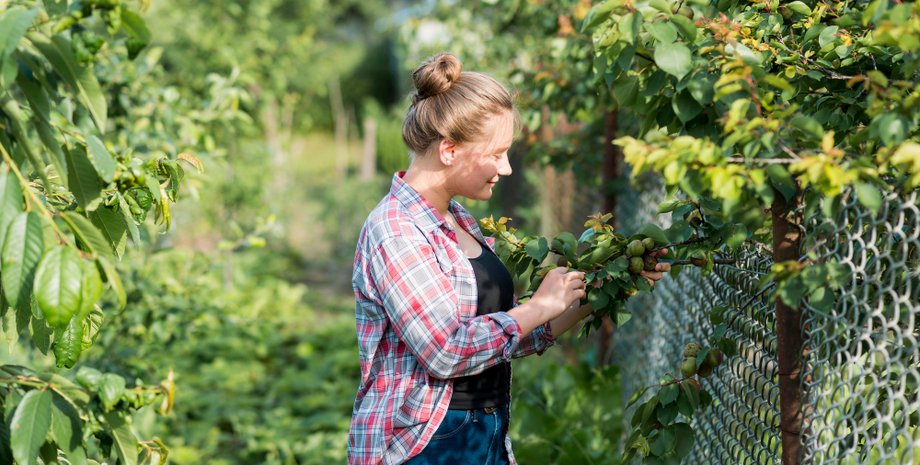 жінка сад історія тварини У сусідньому будинку чулися шуми: жінка зайшла всередину і не повірила очам