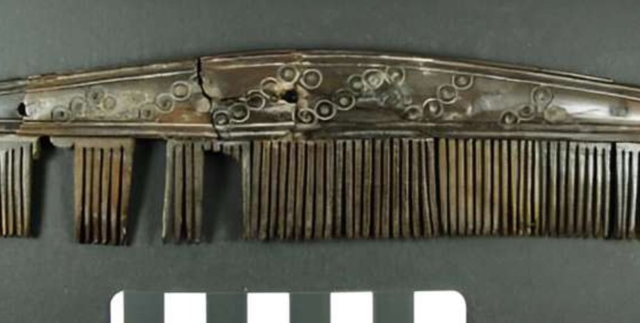 вікінги, колаген, гребінь, зв’язки, торгівля, дослідження, аналіз, оленячий ріг, артефакт, знахідка, дослідники, імпорт, море