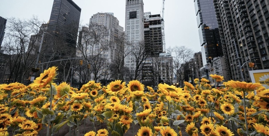 Flatiron Plaza, соняшники, нью-йорк, виставка соняшників