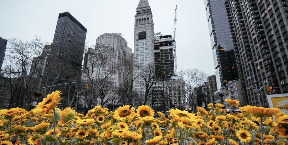 Flatiron Plaza, подсолнухи, нью-йорк, выставка подсолнухов