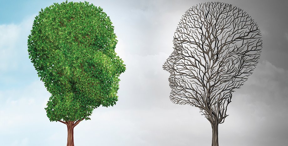 Фото: Getty Images