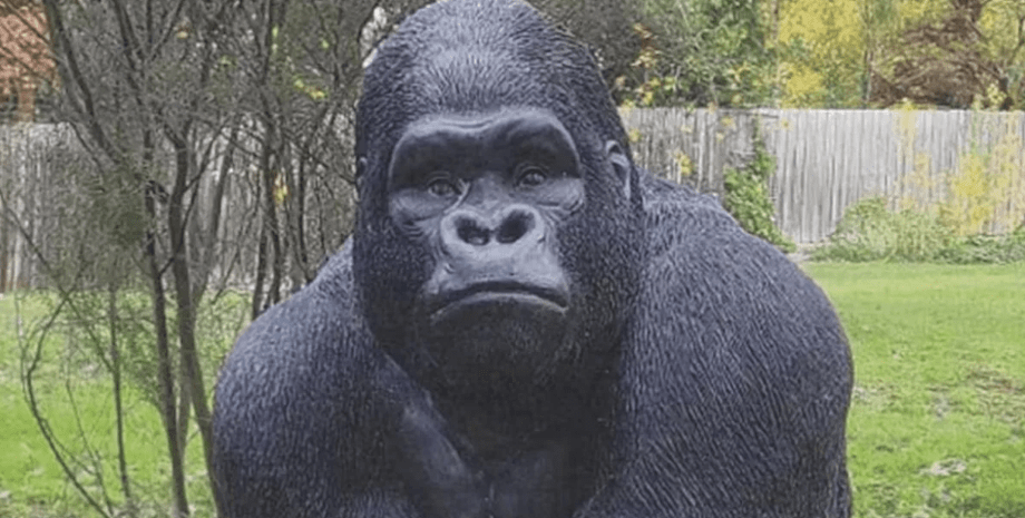 Статуя гориллы Гарри Горилла, горилла Гарри, статуя гориллы