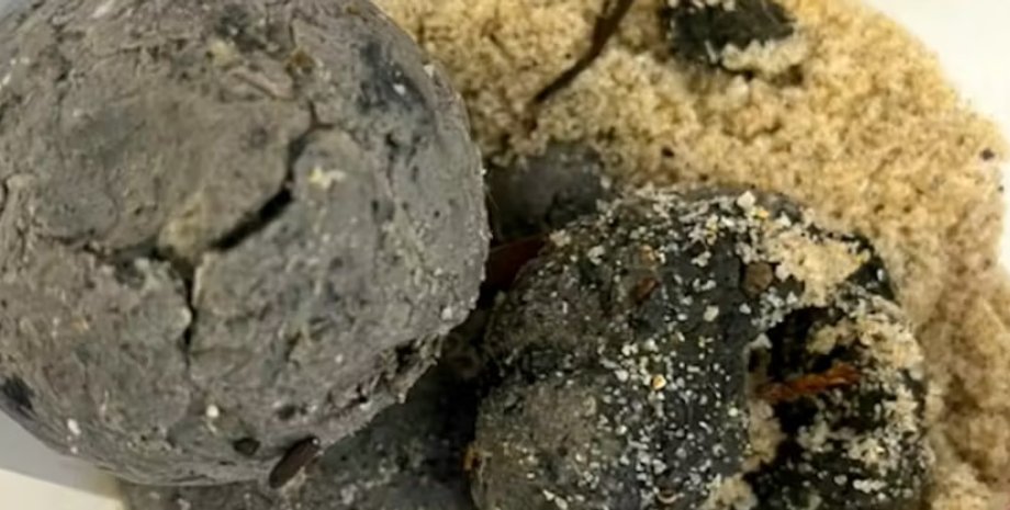 кульки, кульки на пляжі