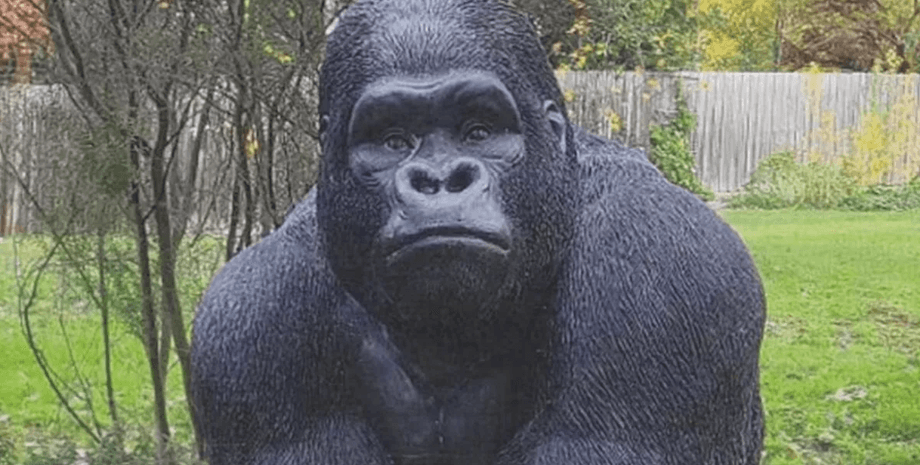 Горила, горила Гаррі, статуя горили