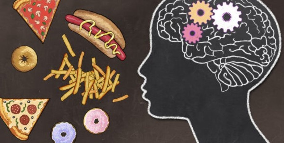 питание, мозг