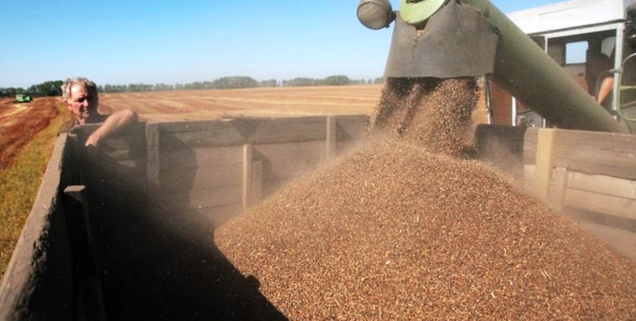 Фото: latifundist.com