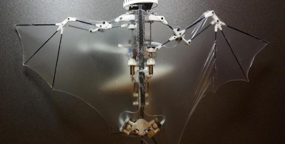 Фото: usnews.com