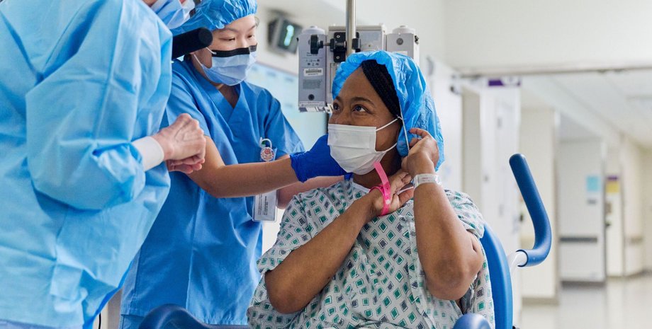 трансплантация почки, трансплантация, трансплантация органов, пересадка почки, пересадка органов, свиная почка, почка свиньи