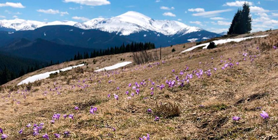Карпати, сходження на Говерлу, маршрути сходження, туристи, ДСНС