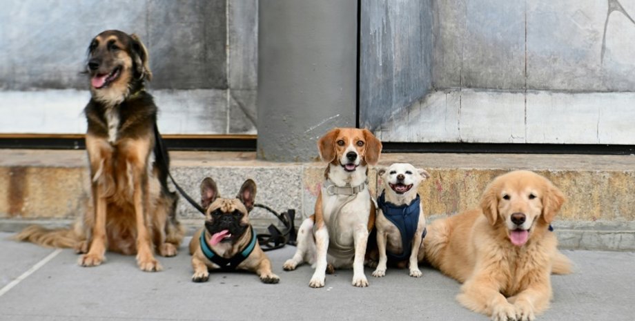 Фото: Bangkok post