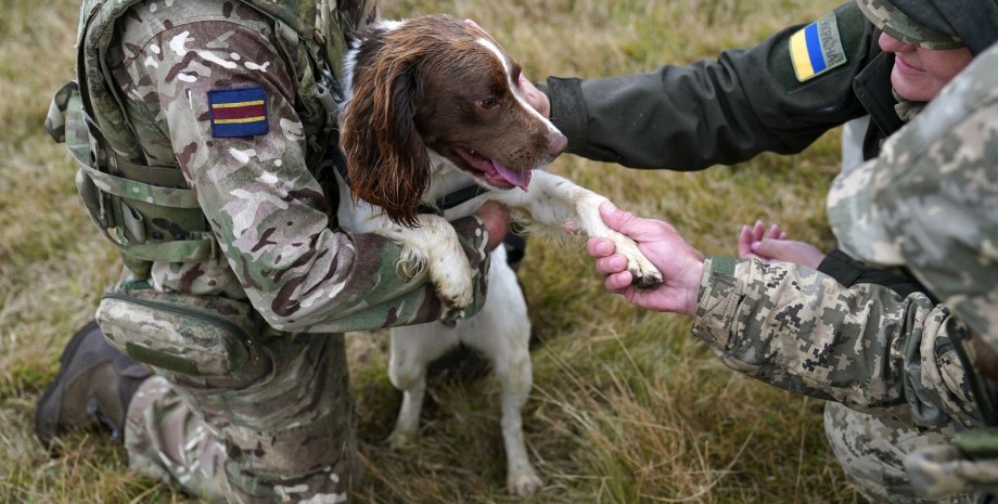 Nach Angaben des britischen Verteidigungsministeriums wurden seit Operation Inte...