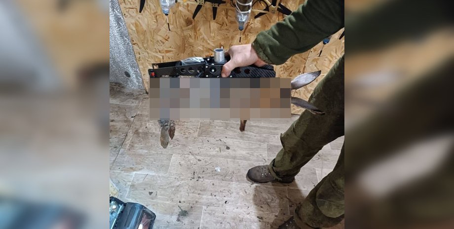 Підрозділи ЗС РФ використовують тушки диких тварин для мінування та скидів на позиції ЗСУ, свідчать відео з соцмереж