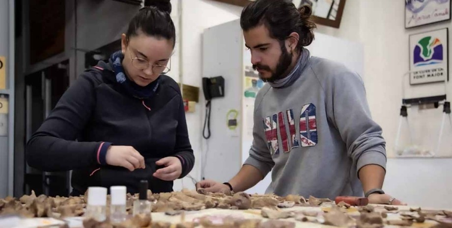 останки захоронение, неандертальцы, люди, Пиренейский полуостров, Евразия, Испания, Каталония, ученые, археологи, археология, исследования, останки, животные, кости, кладбище, пещера, эволюция, общество, смерть