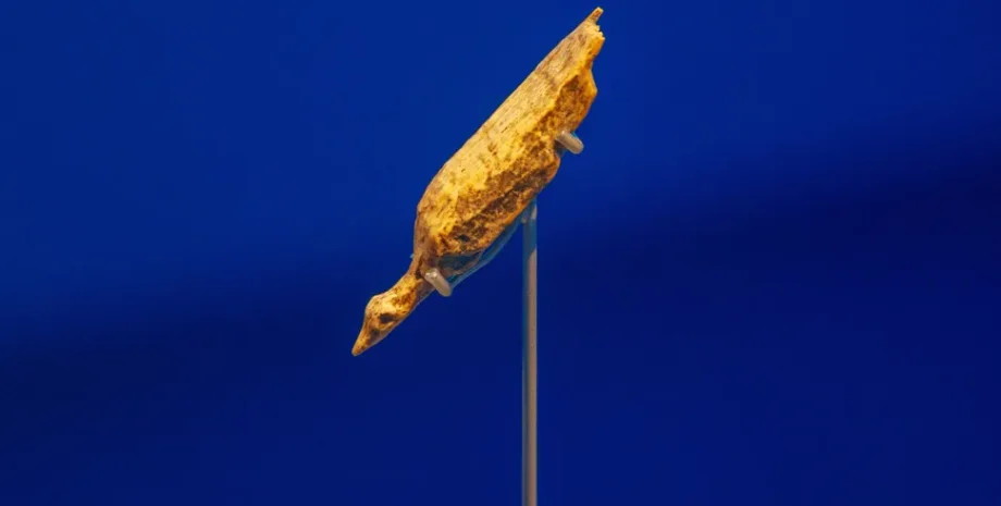 резьба, птица, артефакт, Холе-Фельс, Германия, археология, археологи, история