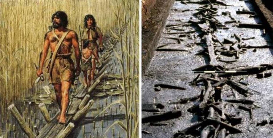 неолит, дорога, путь, история, бронза, болото, передвижение, транспортировка, доски, датировка, гниение, артефакт, наследие ЮНЕСКО, Британия