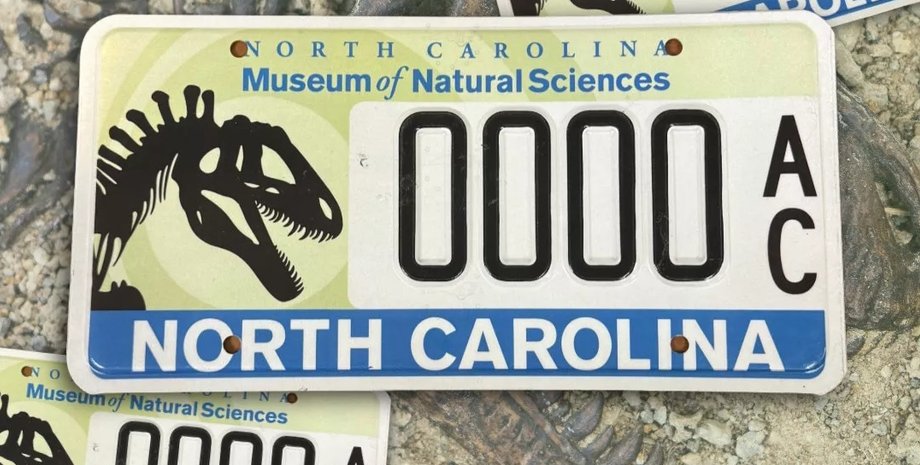 номери зі скелетом динозавра