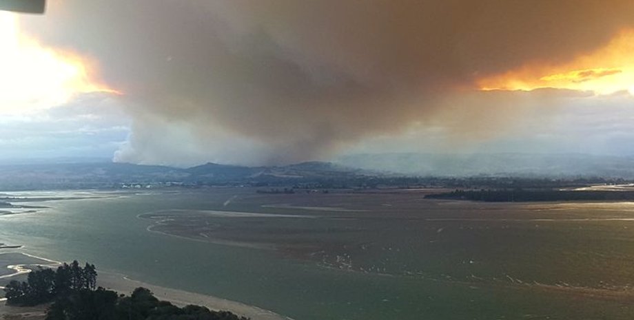 Фото: RNZ / Tracy Neal