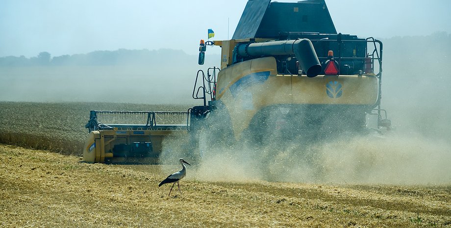 комбайн, поле, пшениця, лелека